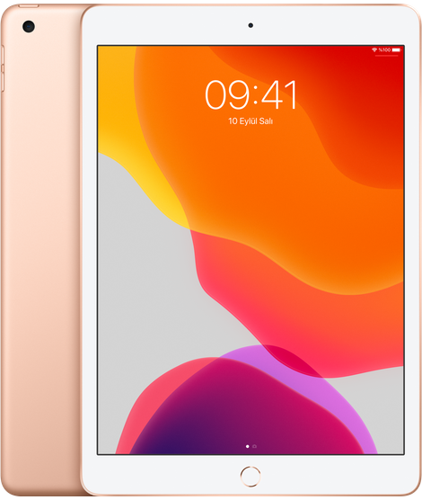 iPad Air Altın 256 GB - Wifi